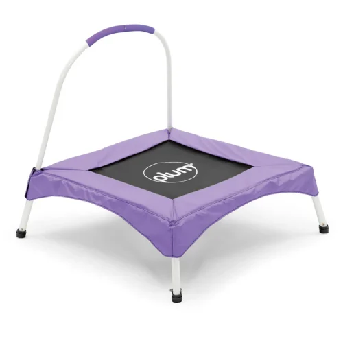 Plum Junior Bouncer Purple